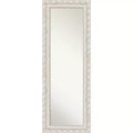 20"x54" Non-Beveled Opera Wood Door Mirror, Wall-Mountable - Amanti Art