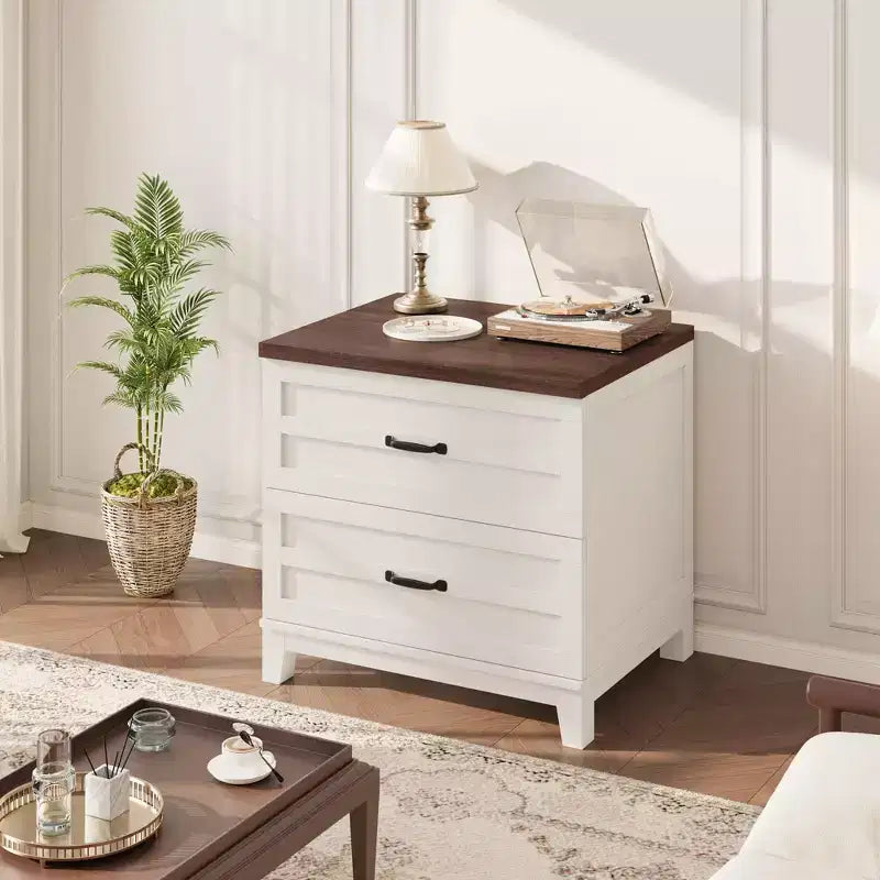 Mobile archivio a 2 cassetti in stile rustico, armadietto laterale in legno con cassetti a estrazione totale, organizer multiuso per camera da letto/ufficio/cucina