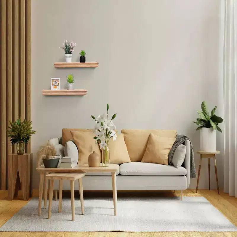 Mensola galleggiante in acero 17.9 C con staffa invisibile, montaggio a parete in legno, perfetta per l'arredamento di bagno/camera da letto/cucina o per esporre libri/piante, facile installazione.