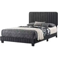 Passion Furniture Lodi Velvet UpholsteChannel Tufted Queen Panel Bed