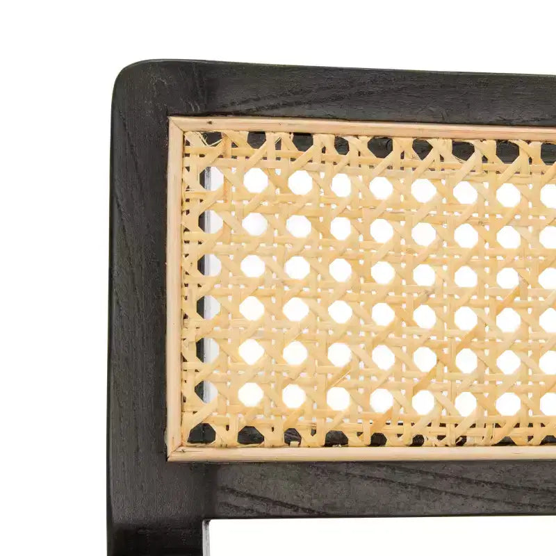 Poltrona Lula Cane Accent - ACH9503 - Safavieh