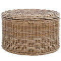 Jesse Wicker Storage Coffee Table - Safavieh