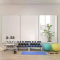 Dovelina Rectangular Gym Mirror Decorative Wall Mirror Large Wall Mirror - 47x32