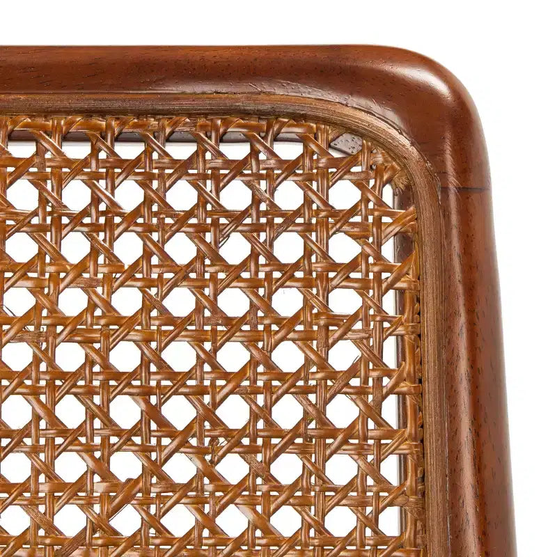 Sedia da Pranzo Reinhardt in Rattan (Set da 2) - DCH8800 - Safavieh