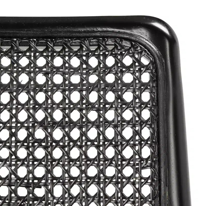 Sedia da Pranzo Reinhardt in Rattan (Set da 2) - DCH8800 - Safavieh